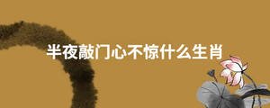 半夜敲門心不驚什么生肖