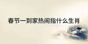 春節一到家熱鬧指什么生肖