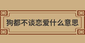 狗都不談戀愛什么意思