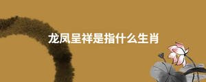 龍鳳呈祥是指什么生肖