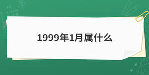 1999年1月屬什么