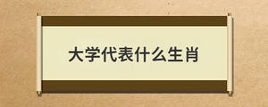 大學代表什么生肖