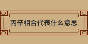 丙辛相合代表什么意思