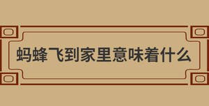 螞蜂飛到家里意味著什么