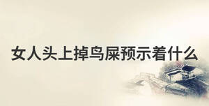 女人頭上掉鳥屎預(yù)示著什么