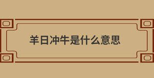 羊日沖牛是什么意思