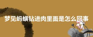 夢見螞蟥鉆進肉里面是怎么回事
