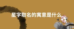 星字取名的寓意是什么
