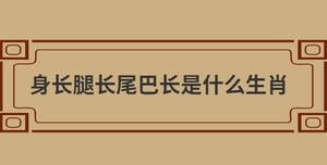 身長腿長尾巴長是什么生肖