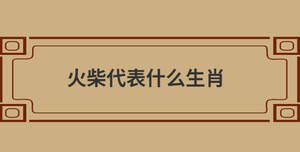 火柴代表什么生肖