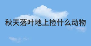 秋天落葉地上撿什么動物