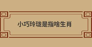 小巧玲瓏是指啥生肖