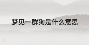 夢見一群狗是什么意思