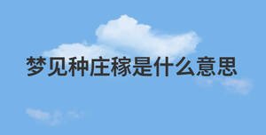 夢見種莊稼是什么意思