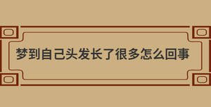夢到自己頭發長了很多怎么回事