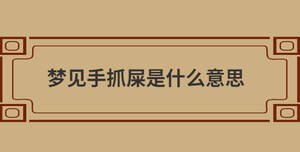 夢見手抓屎是什么意思
