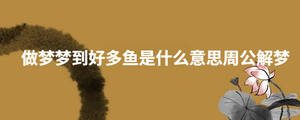 做夢夢到好多魚是什么意思周公解夢