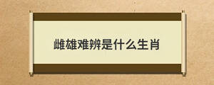 雌雄難辨是什么生肖