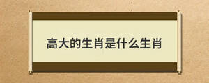 高大的生肖是什么生肖