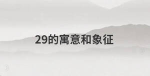 29的寓意和象征