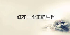 傳統 (71).jpg