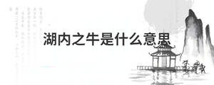 湖內之牛是什么意思