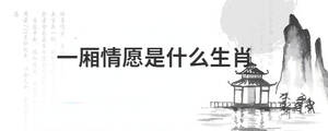 一廂情愿是什么生肖
