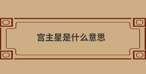 宮主星是什么意思