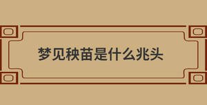 夢見秧苗是什么兆頭