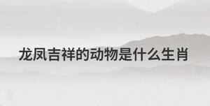 簡(jiǎn)單 (64).jpg