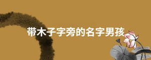 帶木子字旁的名字男孩