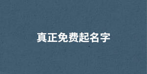 真正免費起名字