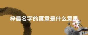 梓晨名字的寓意是什么意思
