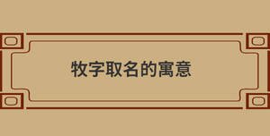 自創 (78).jpg