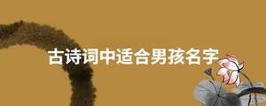 古詩詞中適合男孩名字