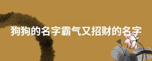 狗狗的名字霸氣又招財的名字