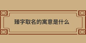 臻字取名的寓意是什么