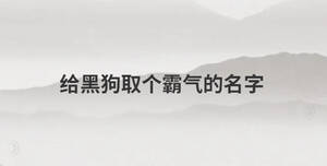 給黑狗取個霸氣的名字