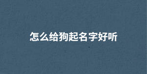怎么給狗起名字好聽