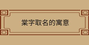 自創(chuàng) - 2022-07-29T160731.357.jpg
