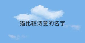 簡(jiǎn)約藍(lán)色背景 (69).jpg
