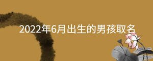 2022年6月出生的男孩取名