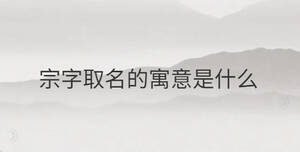 宗字取名的寓意是什么