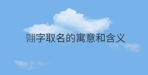 翾字取名的寓意和含義