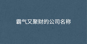 霸氣又聚財(cái)?shù)墓久Q