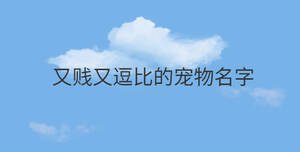 又賤又逗比的寵物名字