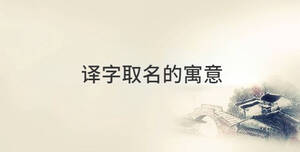譯字取名的寓意