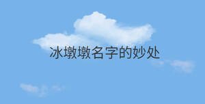 冰墩墩名字的妙處
