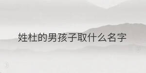 姓杜的男孩子取什么名字