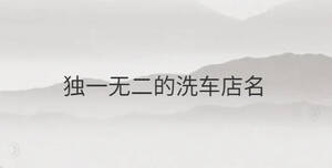 獨一無二的洗車店名